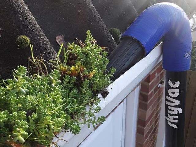 Gutter Cleaning before
